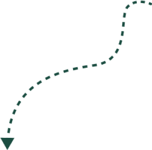 Dashed, curved arrow pointing downwards, indicating direction or movement on a transparent background.