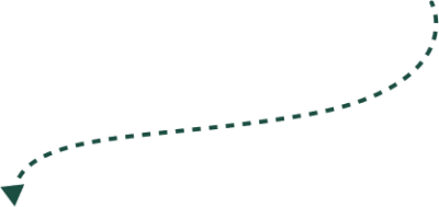 Curved dotted arrow pointing downwards on a transparent background.