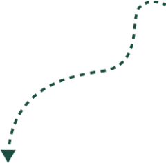 Dashed, curved arrow pointing downwards, indicating direction or movement on a transparent background.