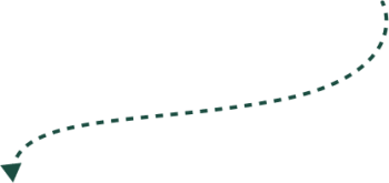 Curved dotted arrow pointing downwards on a transparent background.