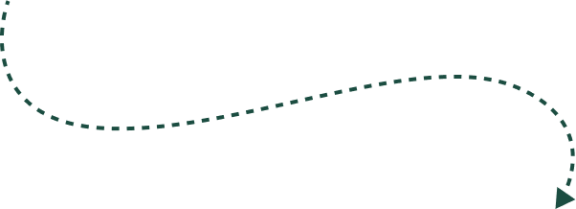 A green dashed line with a curved path and arrow, illustrating movement or direction on a transparent background.